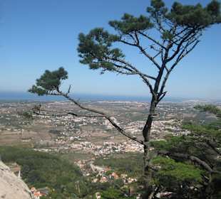 Zamek dos Mouros