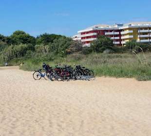 Anfang vom freien Bereich