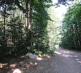  Waldgaststätte Friedensdenkmal