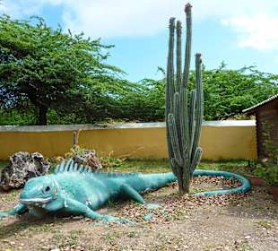 Christoffelpark: Wahrzeichen Iguana