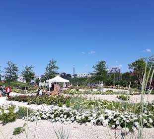 Buga Bundesgartenschau 2019