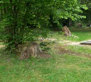 Fußballbilliard - Minigolf Hallwangen