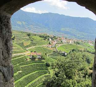 Blick vom Schloss Tirol auf Dorf Tirol