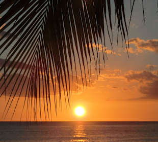 Kurz,aber sehr schön: spektakuläre Sonnenuntergänge