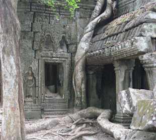 Ta Prohm Tempel