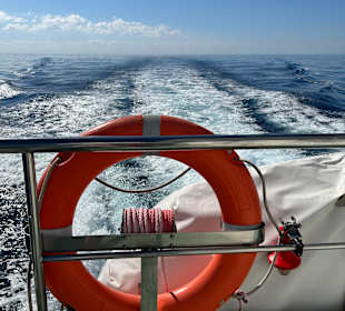 Inselrundfahrt Gran Canaria