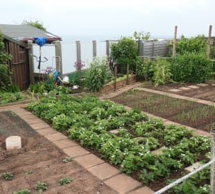 Spaziergang entlang der Schrebergarten-Kolonie