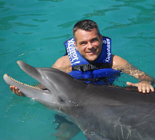 Schwimmen mit Delfinen