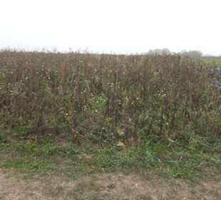 Erlebnisbauernhof und Wildgehege