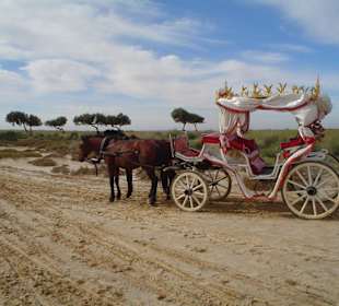 Ausflug mit Kutsche zur Salzsee