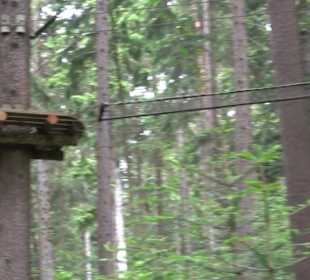 Waldklettergarten Atreenalin Dornstetten-Hallwange