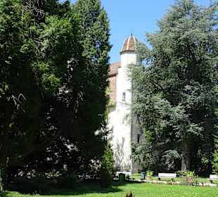 Schloss Schönau "Trompeterschloss"