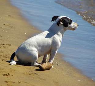 Ewiges Warten, geht ja gar nicht