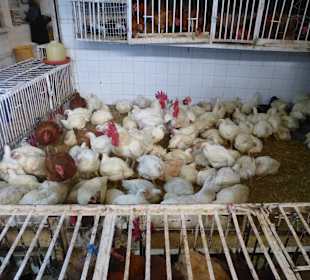 Die haben ein wenig mehr Platz