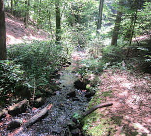 Auf dem Weg zum Hilschweiher