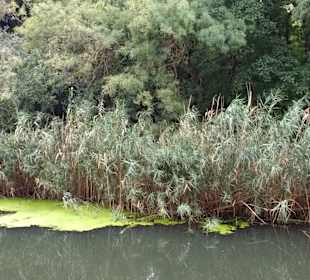 Naturschutzgebiet Baltata