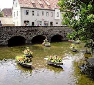 Wilde Gera