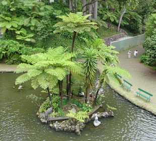 Insel der Täume