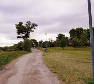Richtung City vor Zenith