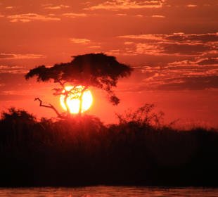 Unvergessliche Sonnenuntergänge