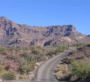 Organ Pipe Cactus National Monument