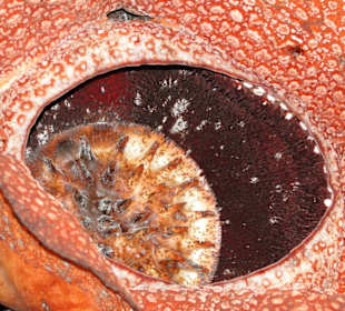 Ausflug Wildfife Expeditions