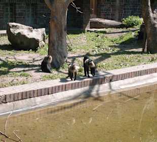 Zoo Leipzig