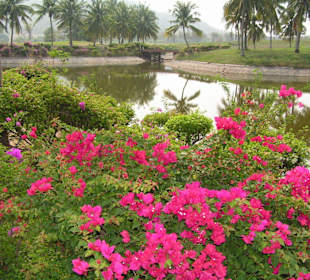 Palm Hills Golf Club