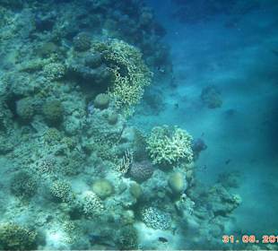 Sharm el Naga