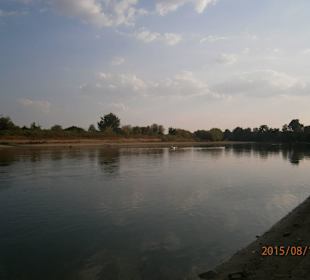 The beauty of the river