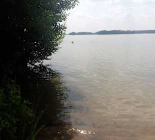 Kurpark in Bad Saarow