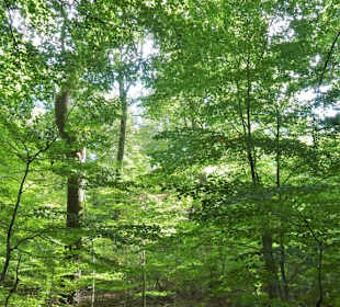 Spaziergang durch den Tiergarten Delmenhorst