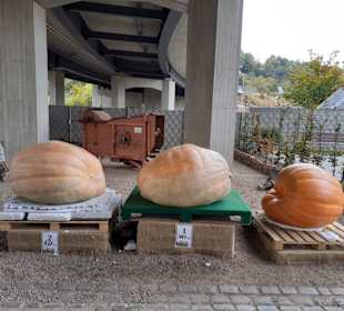 Gartenschau in Kaiserslautern