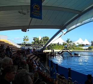 Loro Parque 