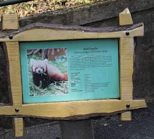 Padmaja Naidu Himalayan Darjeeling Zoo