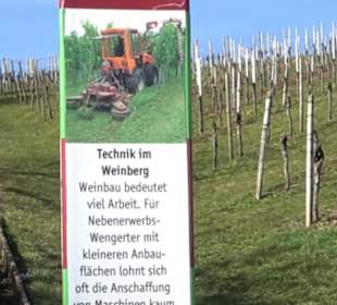 Weinerlebnisweg