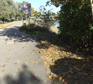 Donauinsel