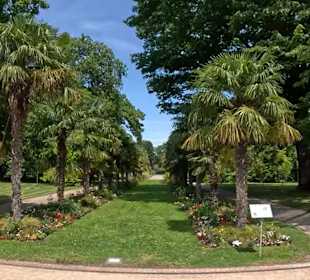 Flora und Botanischer Garten