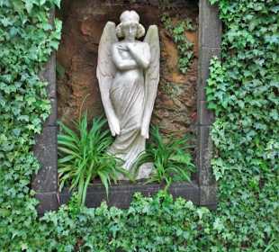 Rundgang durch den Monte Palace Tropical Garden