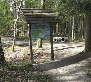 Waldsportpfad im Wasenwald