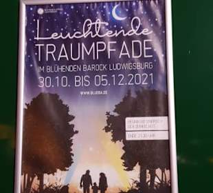 Leuchtende Traumpfade.