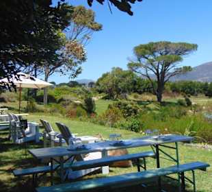 Cape Point Vineyards in Noordhoek
