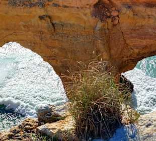 Seven Hanging Valleys Trail 