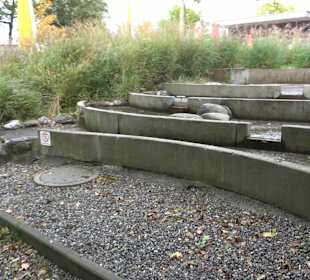 Stadtrundgang Wasserburg