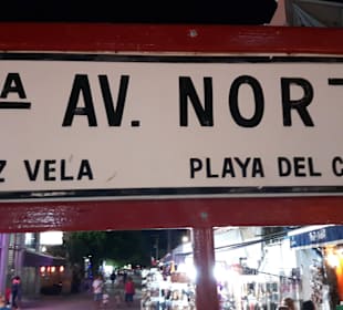 Schild