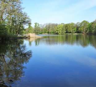 Rundgang durch den Hermann-Löns-Park