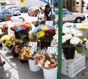 Markt Rhodos