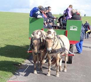 Nun geht es nach Südfall