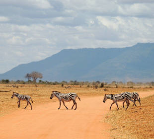 Safari Tsavo-Ost
