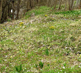 Tegernseer Höhenweg